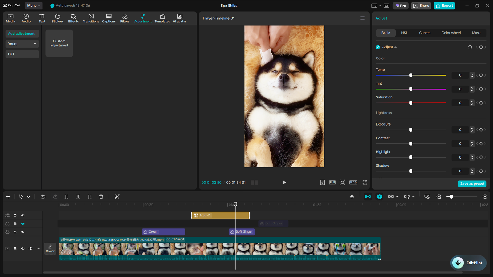 The Ultimate CapCut Color Grading Guide 6 image 10
