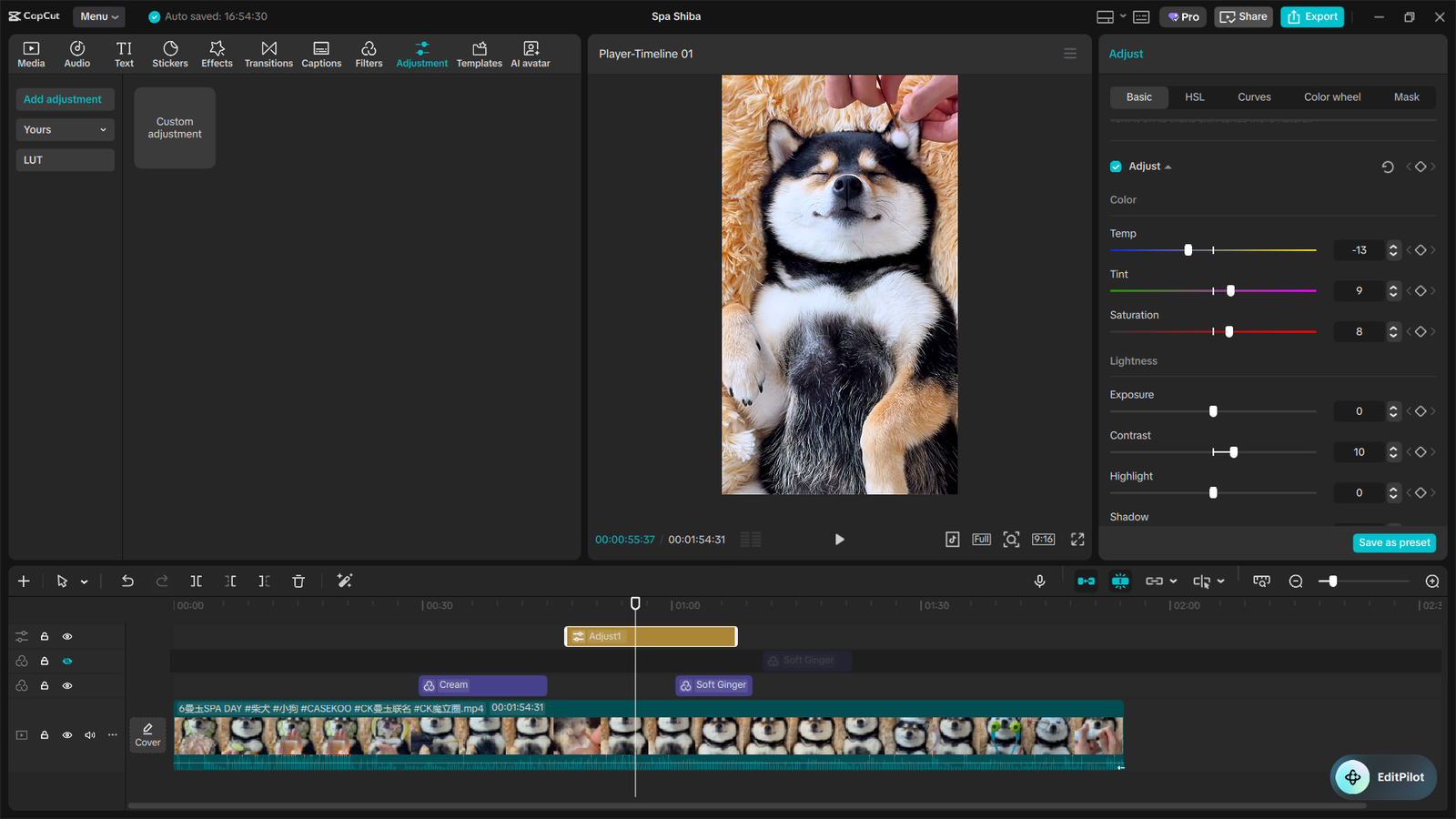 The Ultimate CapCut Color Grading Guide 9 image 13