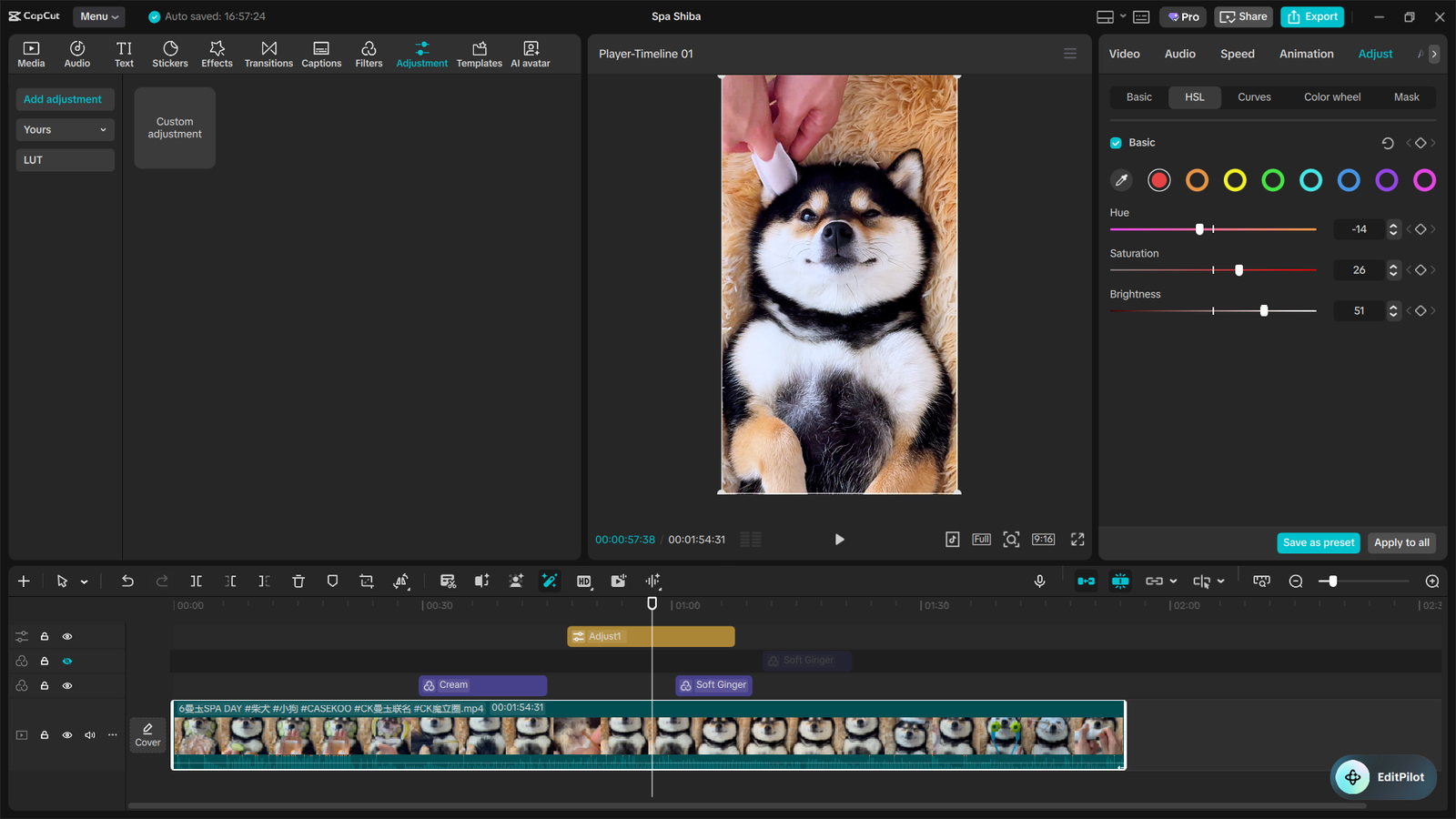 The Ultimate CapCut Color Grading Guide 10 image 14