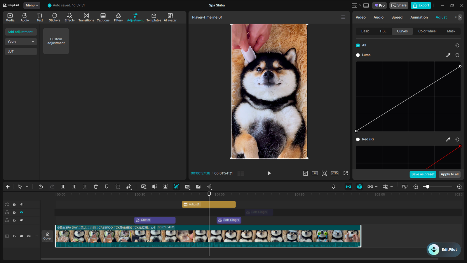 The Ultimate CapCut Color Grading Guide 11 image 15