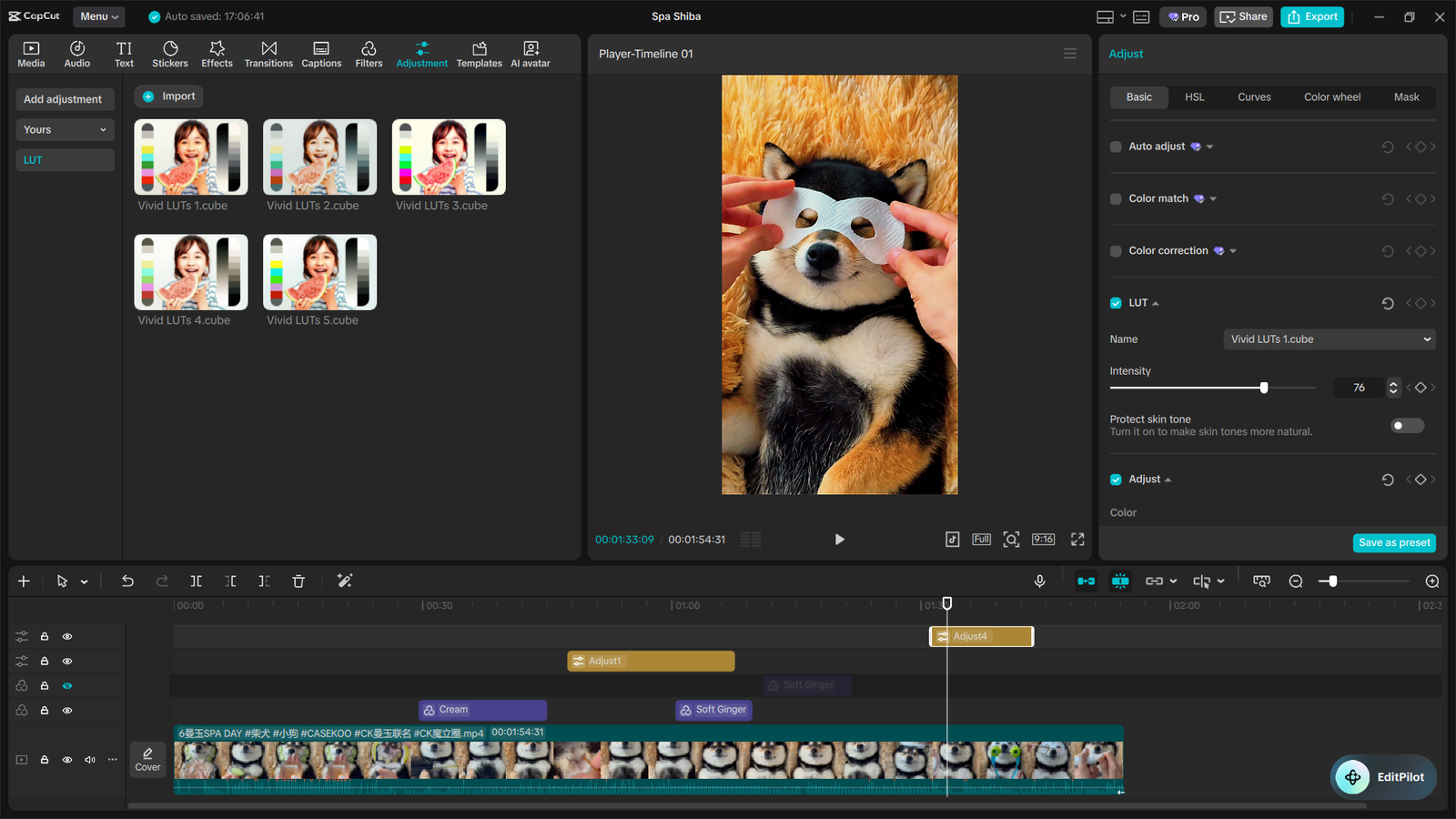 The Ultimate CapCut Color Grading Guide 12 image 16