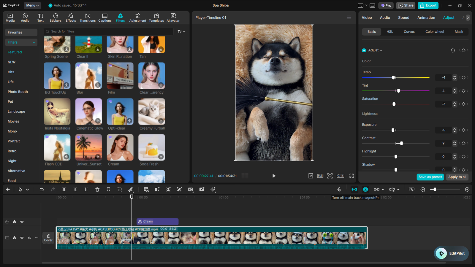 The Ultimate CapCut Color Grading Guide 3 Color Grading (By CapCut)