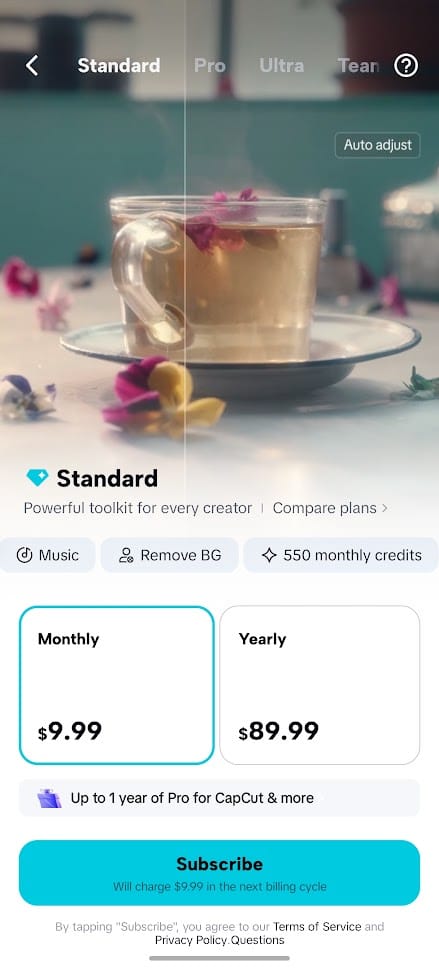 What Is Capcut? A Beginner'S Guide To Features, Plans, And Fit 7 Price Capcut Standard